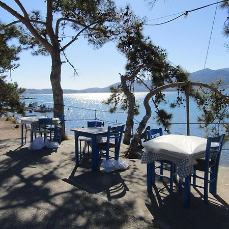 Вілла Salamis Luxury Escape Екстер'єр фото